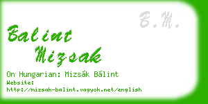 balint mizsak business card